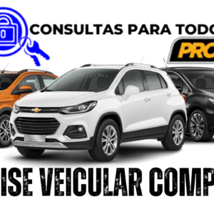 Consultar Proprietário de Veículo pela Placa Grátis SP: Saiba Como Fazer com Segurança