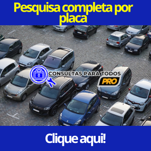 Consultar Proprietário de Veículo pela Placa